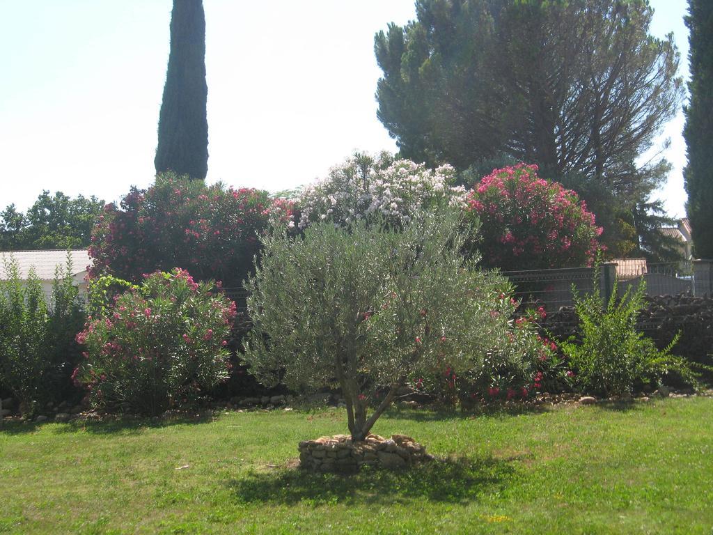 Mas Du Puits Bed & Breakfast Courthezon Exterior photo