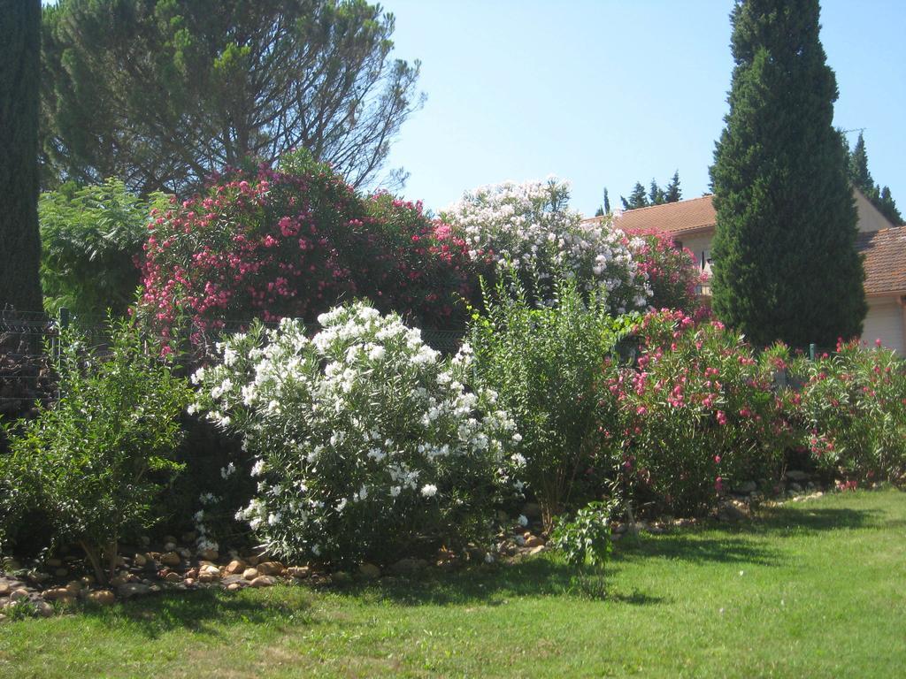 Mas Du Puits Bed & Breakfast Courthezon Exterior photo